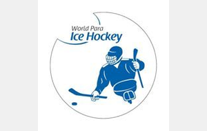 Mondial Hockey Luge