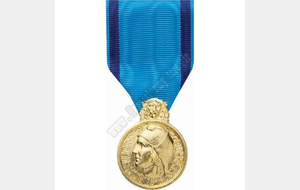 Nominations 2017 médaille de la jeunesse, des sports et de l'engagement associatif de Bronze